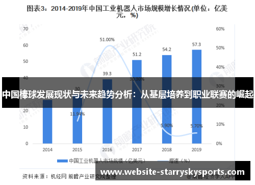 中国棒球发展现状与未来趋势分析：从基层培养到职业联赛的崛起